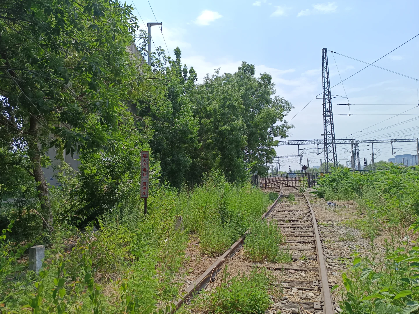最早生产磷农药的国企是如何把自己逼没的