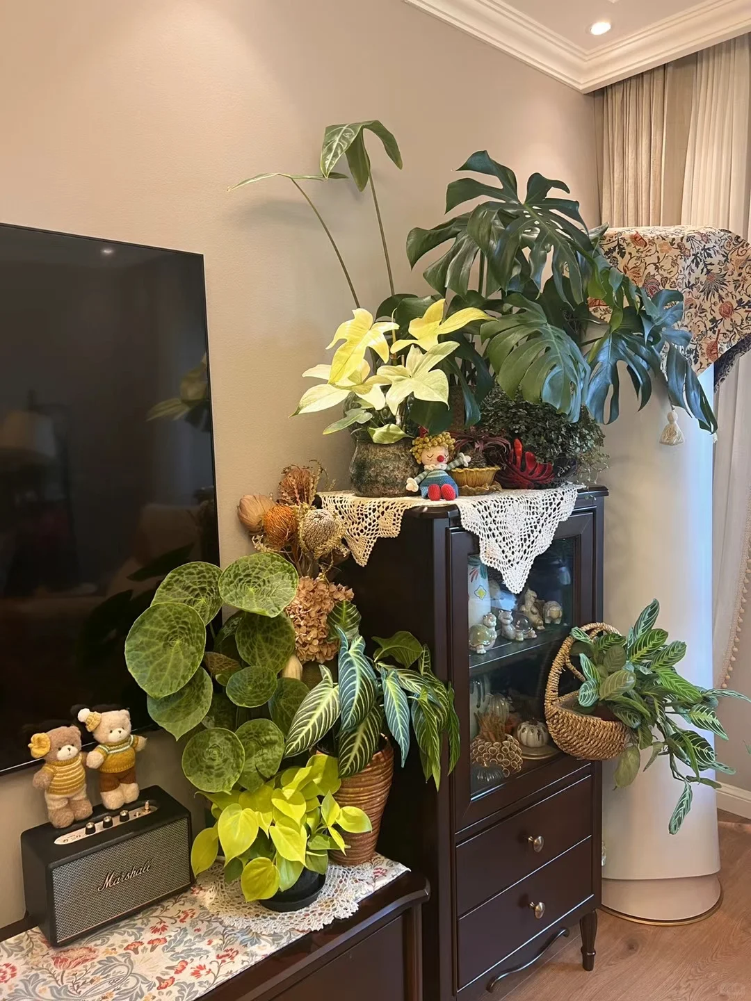 被植物环绕的家?植物治愈人心