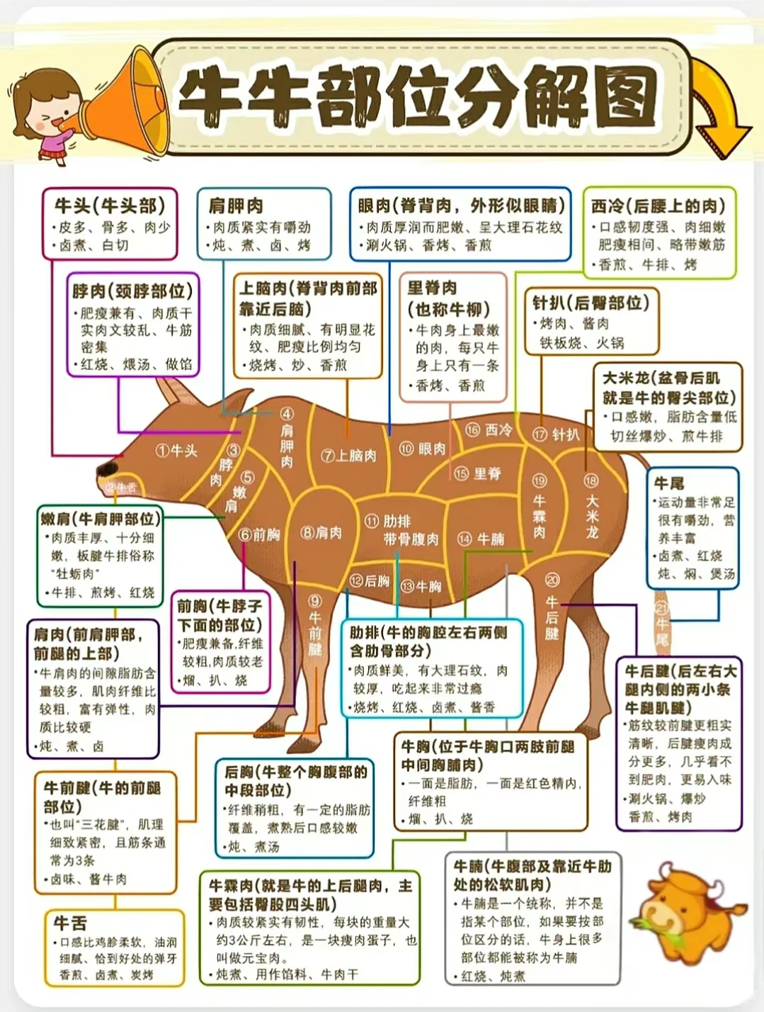 大家最喜欢吃牛的哪个部位?