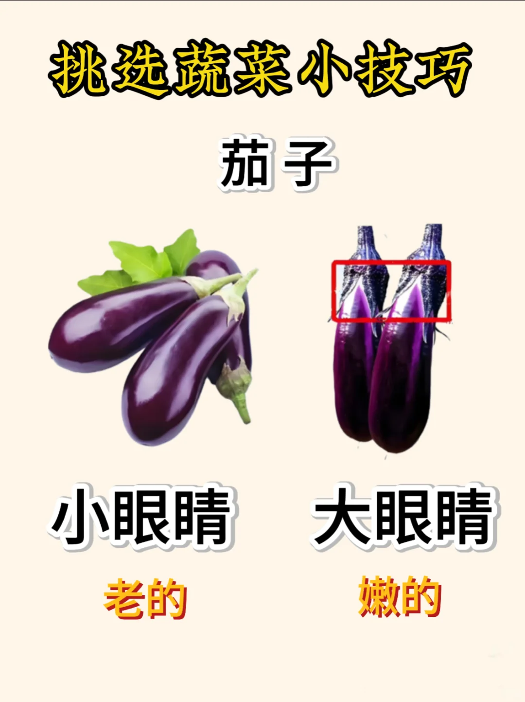 蔬菜挑选小技巧get～