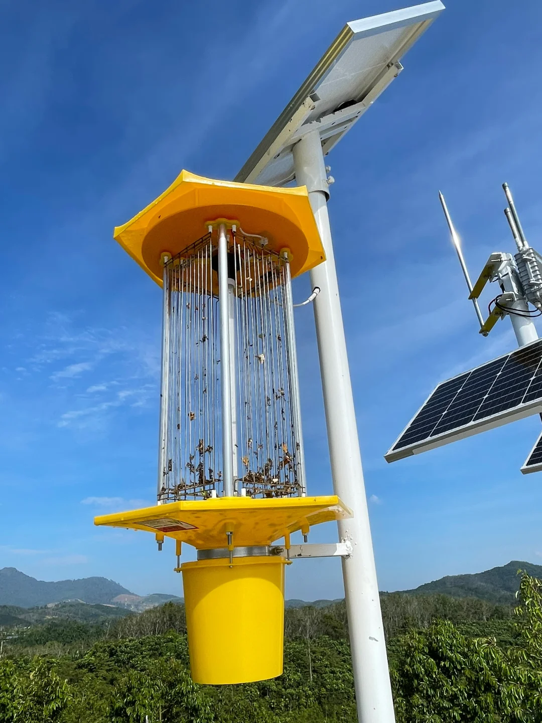 当高科技遇到最传统的农业?!?