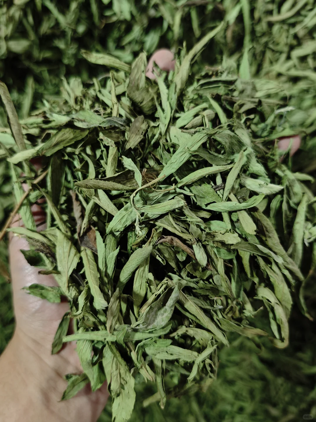 农产品初加工的心酸