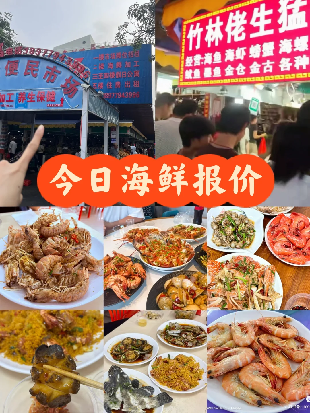 11.16海鲜实时报价→市场买海鲜饭店加工攻略