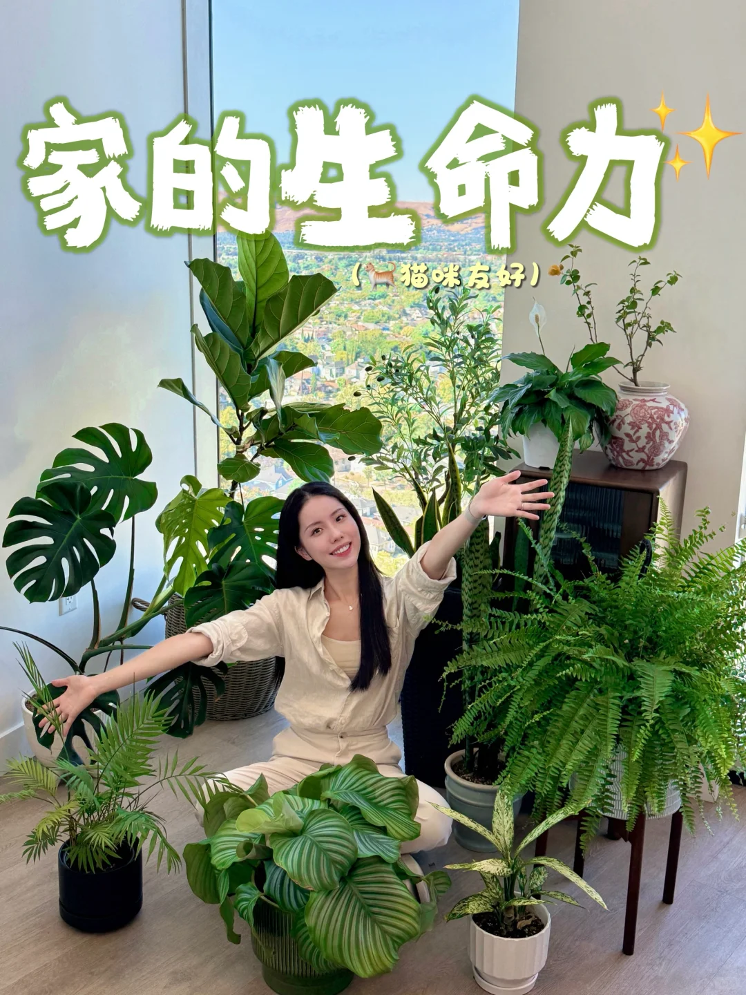 懒人轻松养??氛围感能量绿植分享