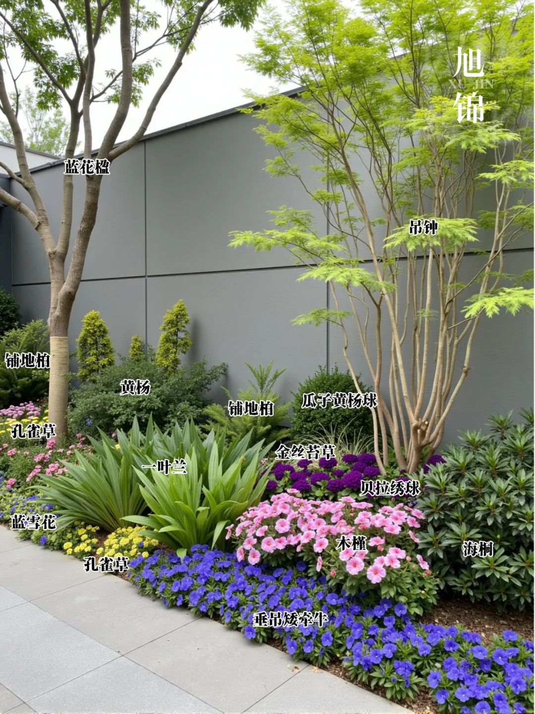 超实用!庭院花境搭配万能公式