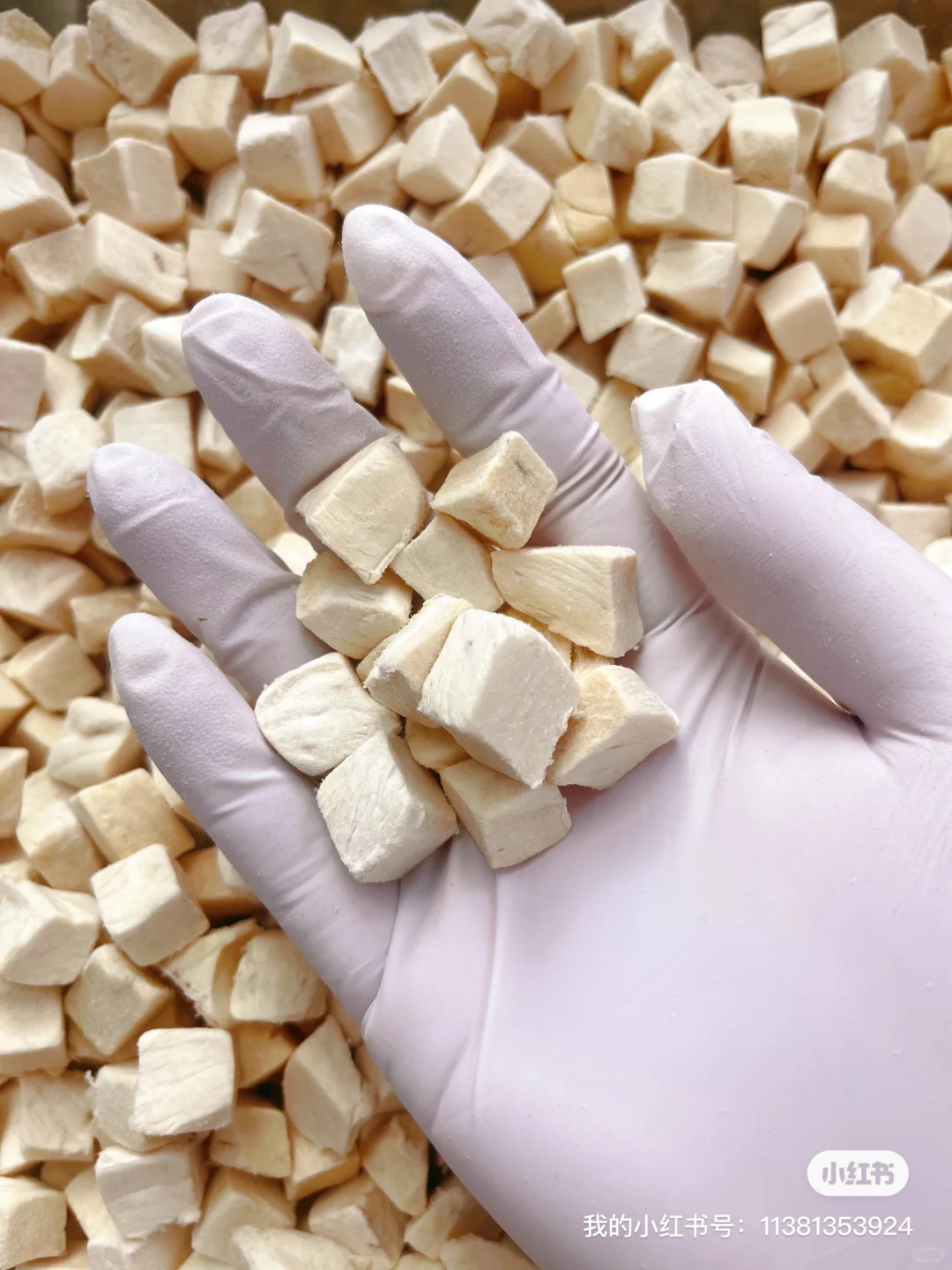 宠物冻干零食，工厂批发