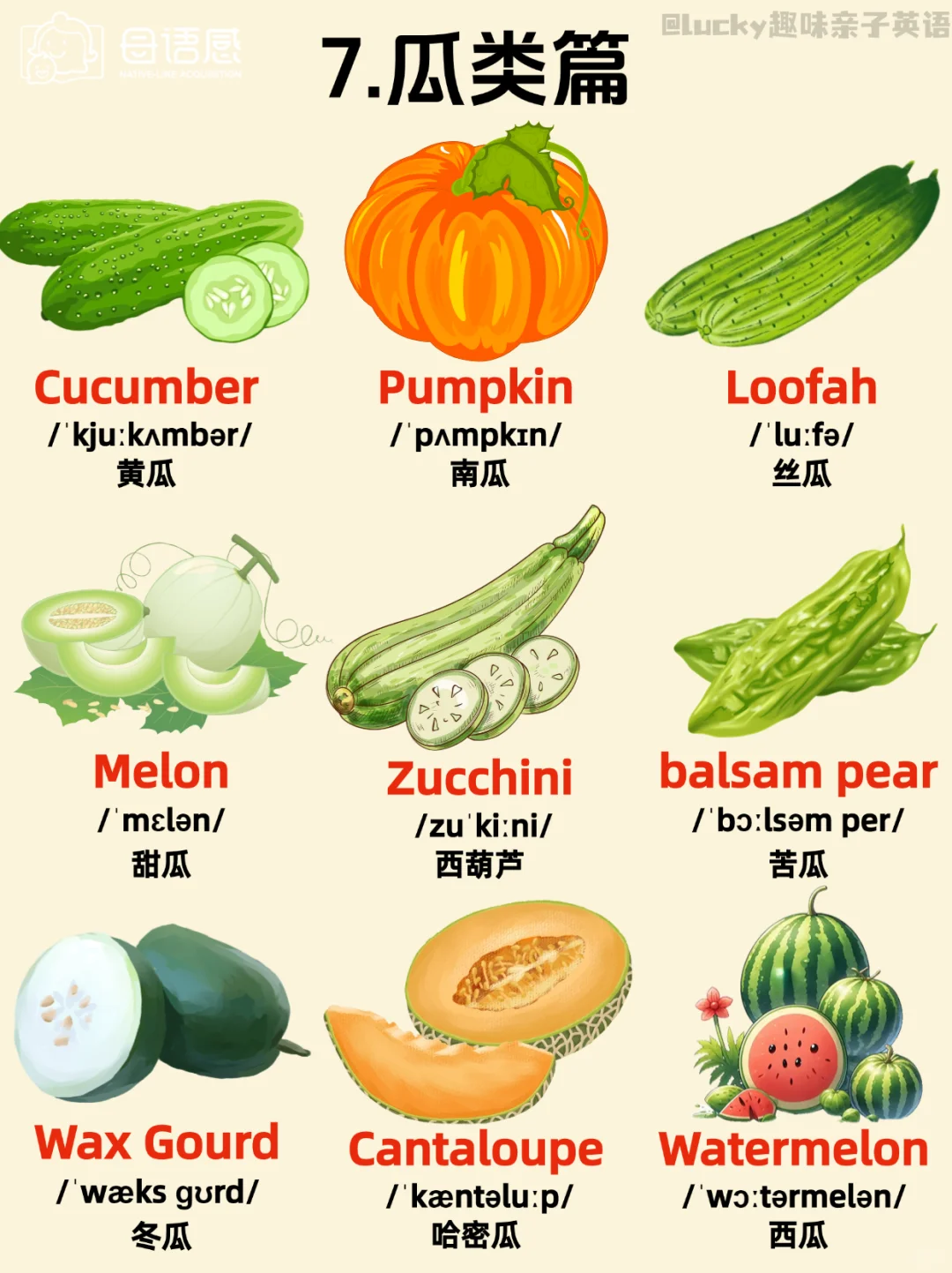 绝了！这英语主题闪卡也太全了吧!!!