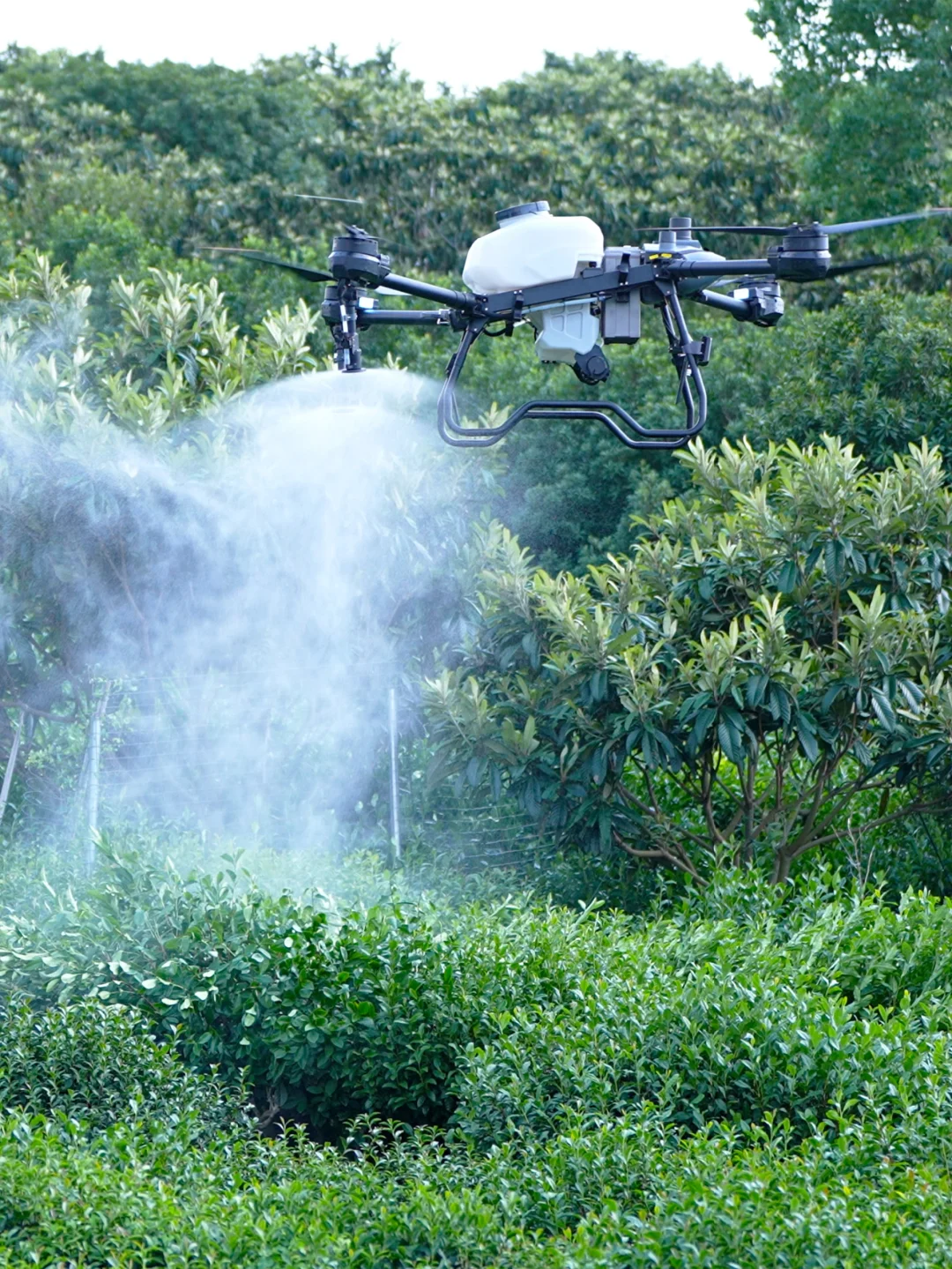 劝你别看!怕你发现无人机轻松赚钱辞职回村