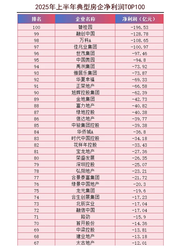2025年上半年房企净利润TOP100