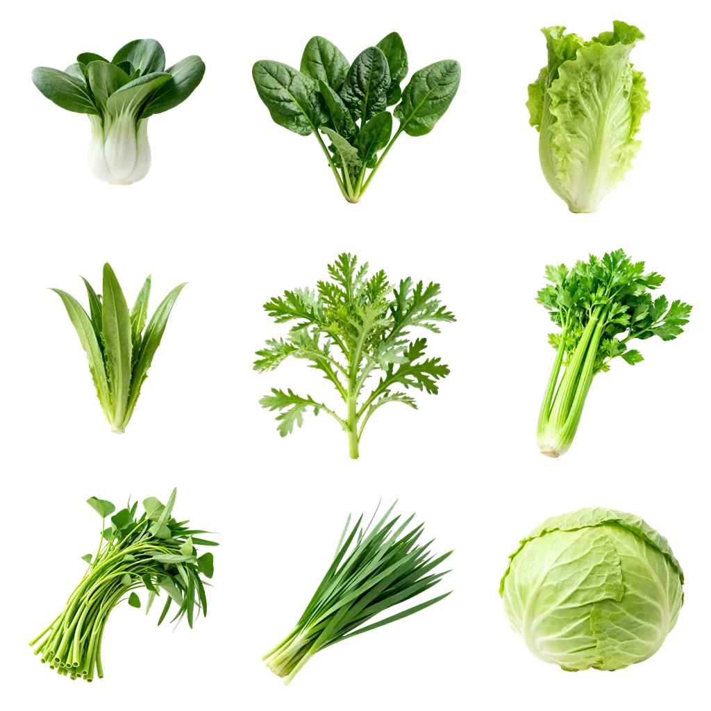 青菜图标，平常你经常吃的是哪一款呢？