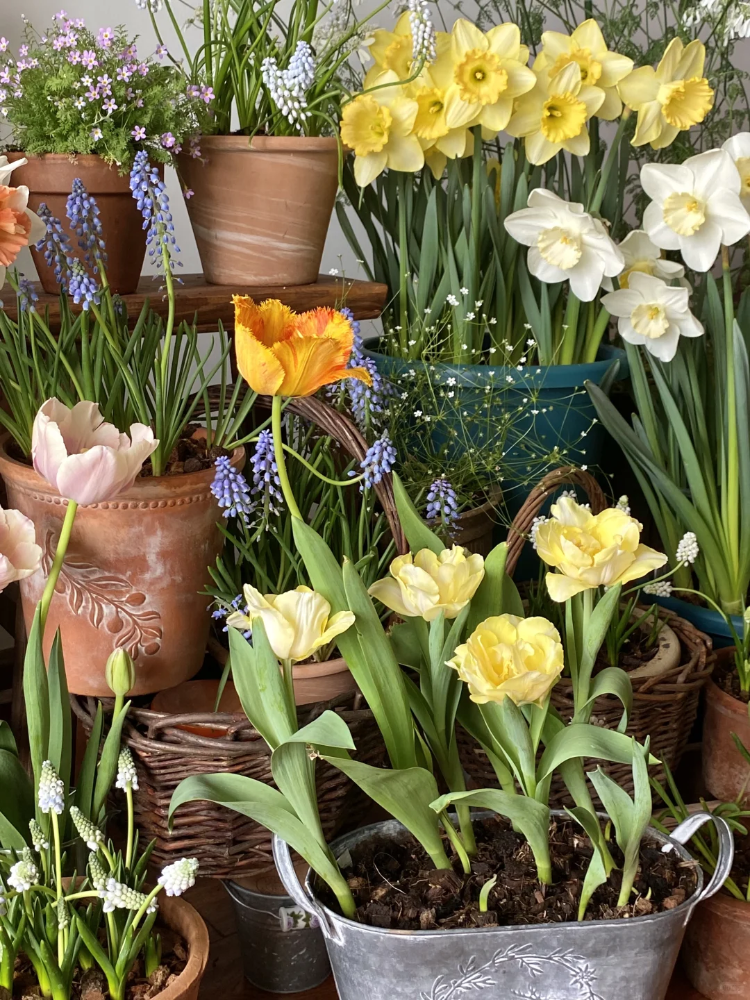 此时此刻我家???