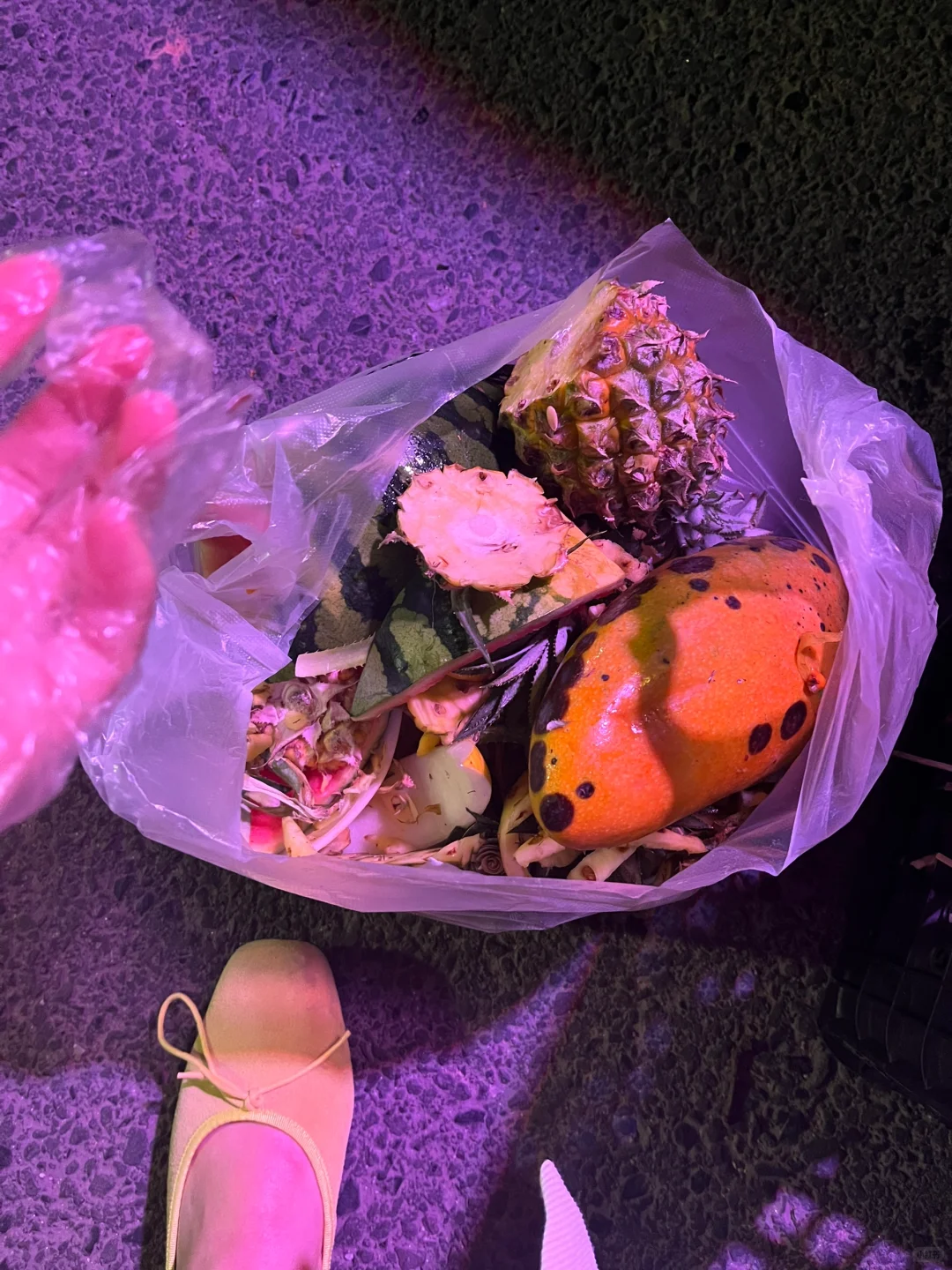 我宣布，我这是深圳最牛的果蔬废料回收站！