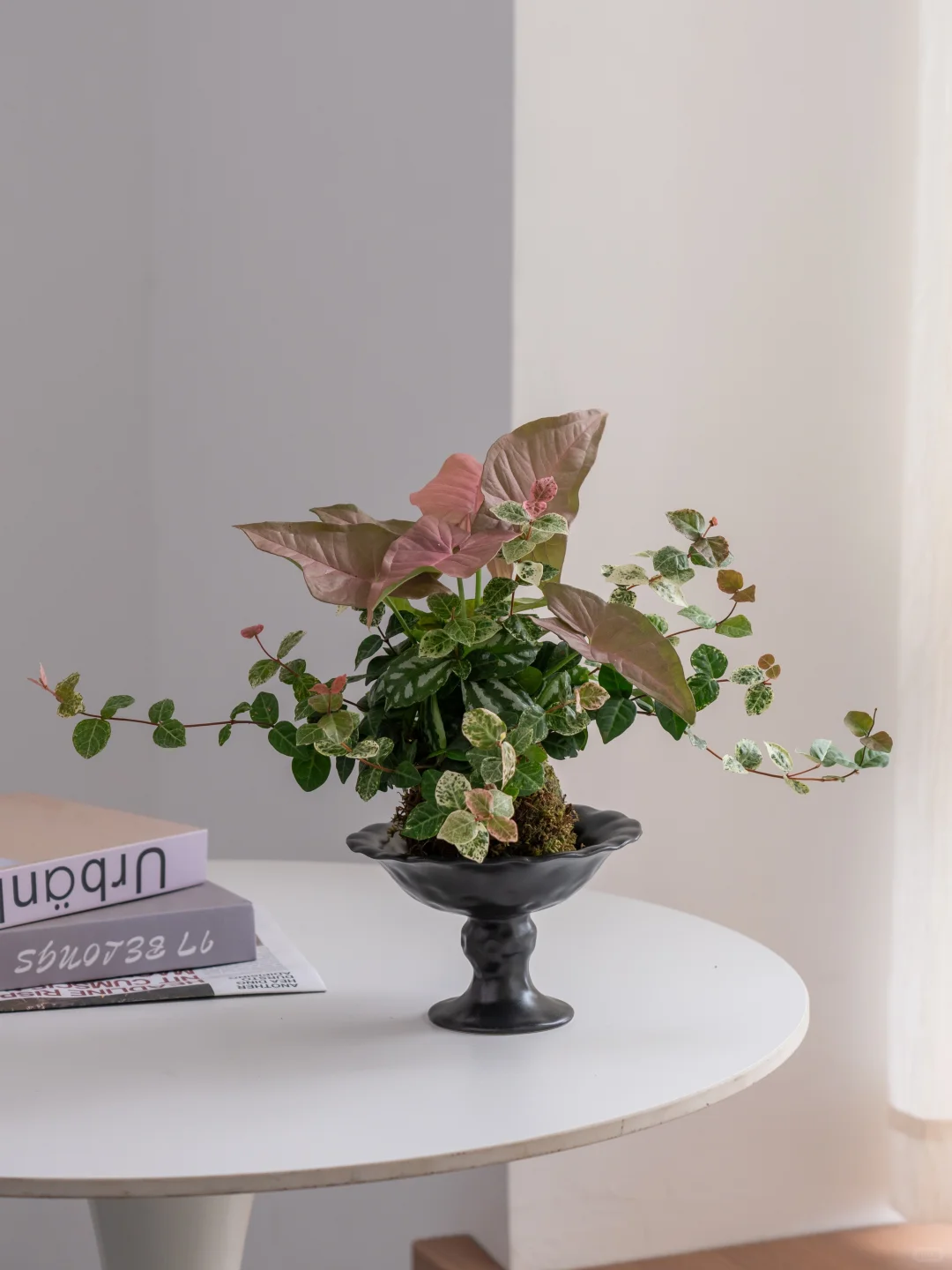 谁家滴“三生有幸”这么美捏？?