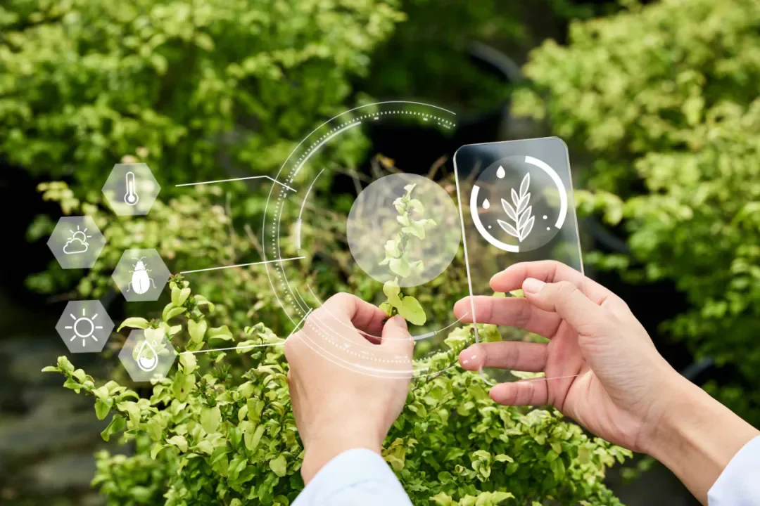 耕织未来:智慧农业的趋势与实践