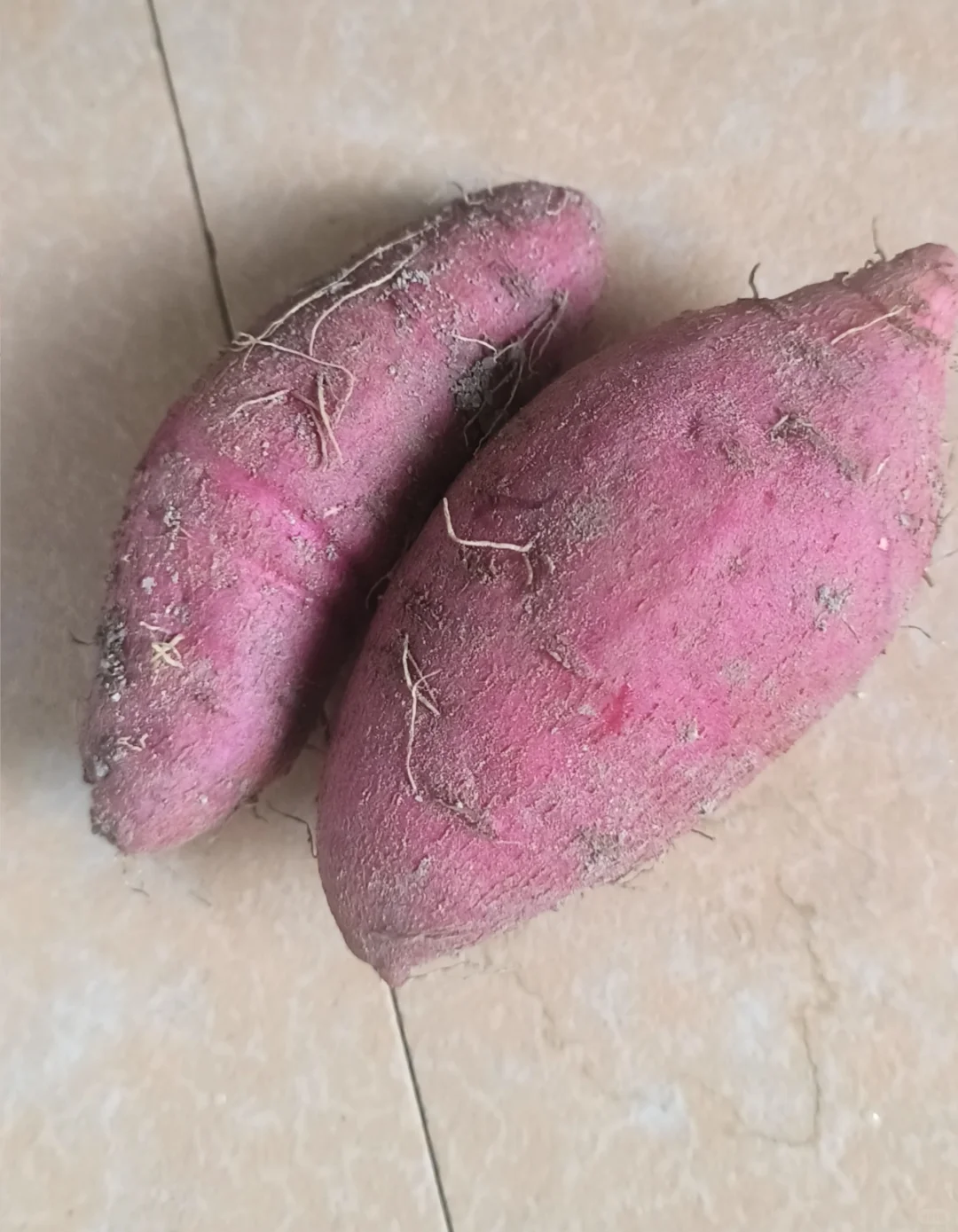 意外收获两颗红薯?