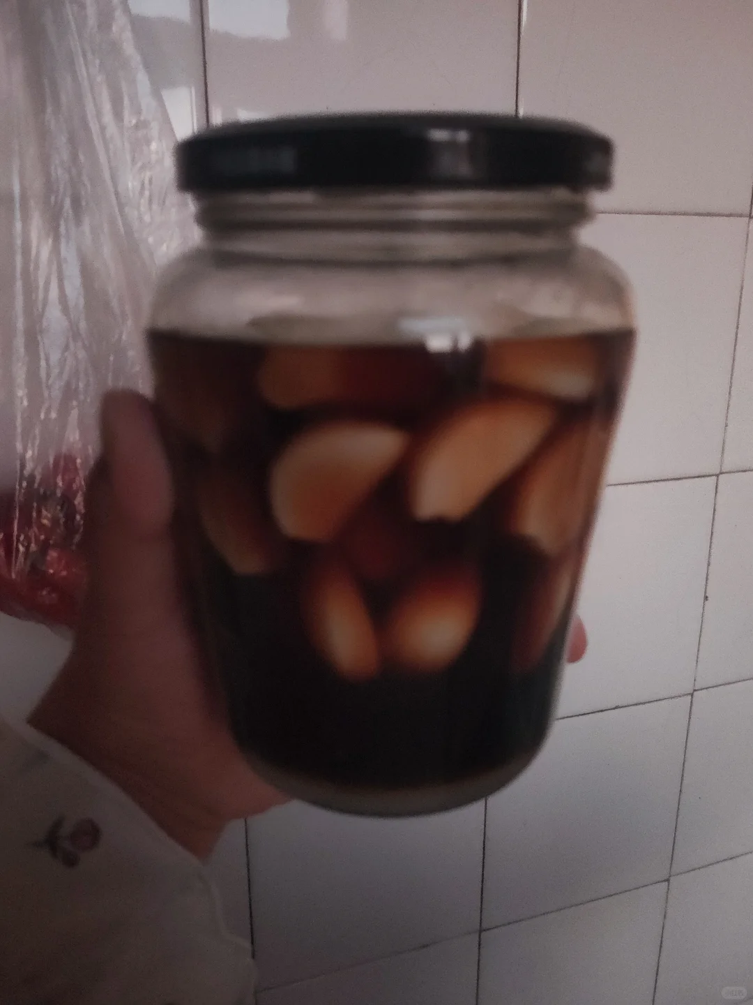 腌腊八蒜了，看看几天能绿