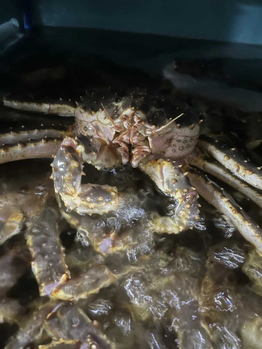 ? 上海江阳市场24h逛吃攻略