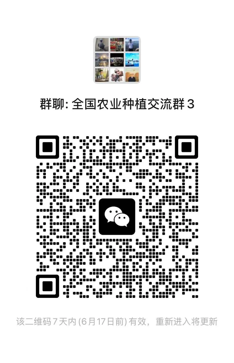 农业交流大田种植户进