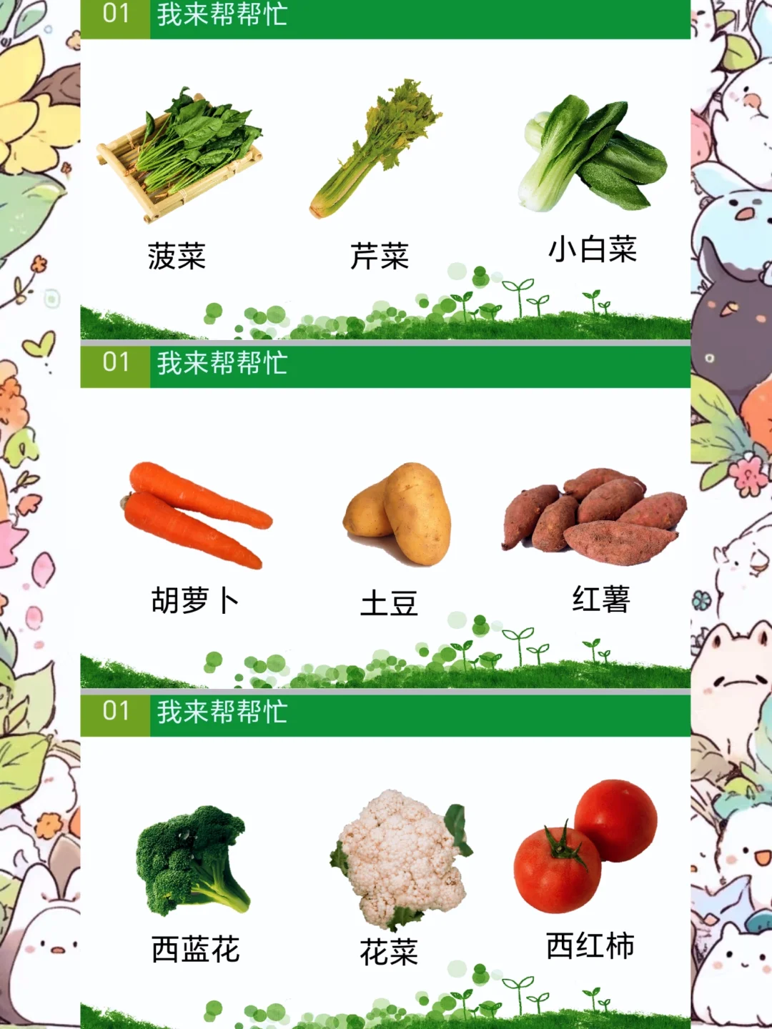 幼师必备，中班科学健康《认识蔬菜》