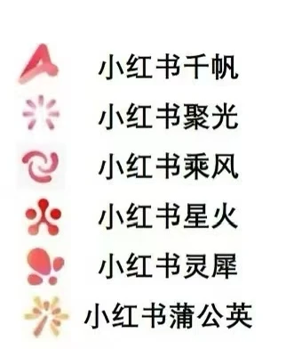 农产品不会做电商？我们帮您！