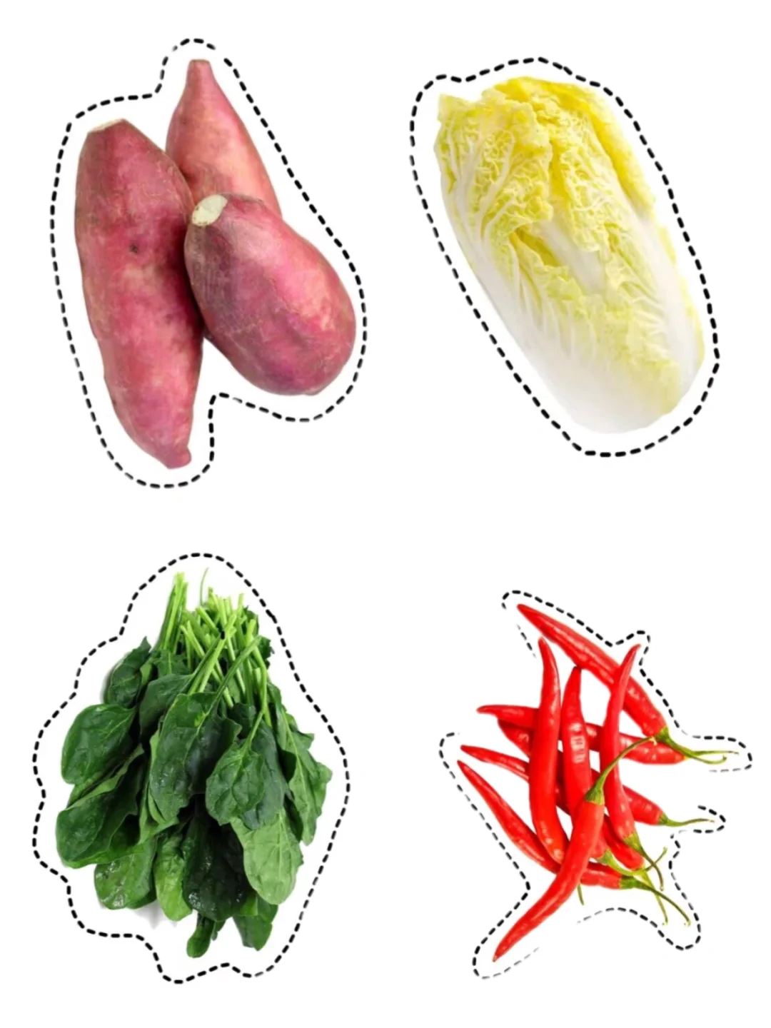 真实的蔬菜水果|均可打印（48种）