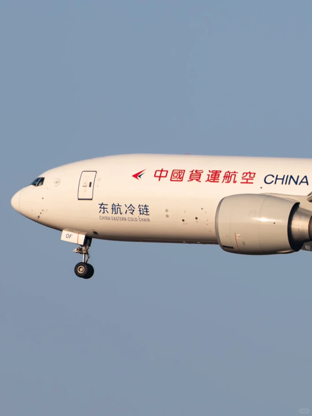 2014-2024|南美生鲜快运十周年