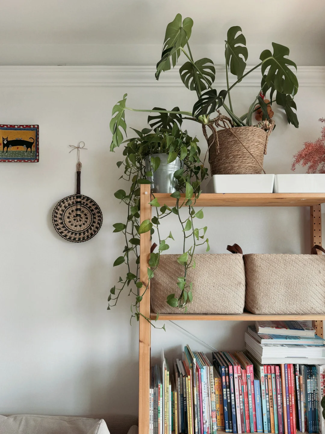 ⸝⸝꙳?i人用绿植爆改出租屋°.