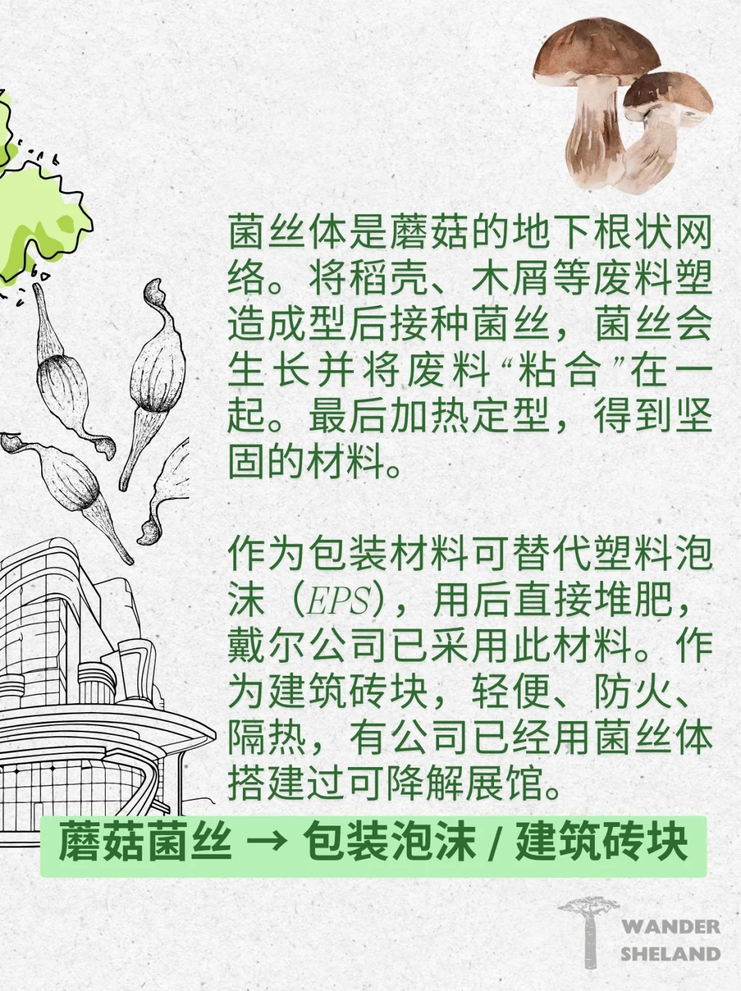 可持续指南｜废弃食材变身新材料 ?