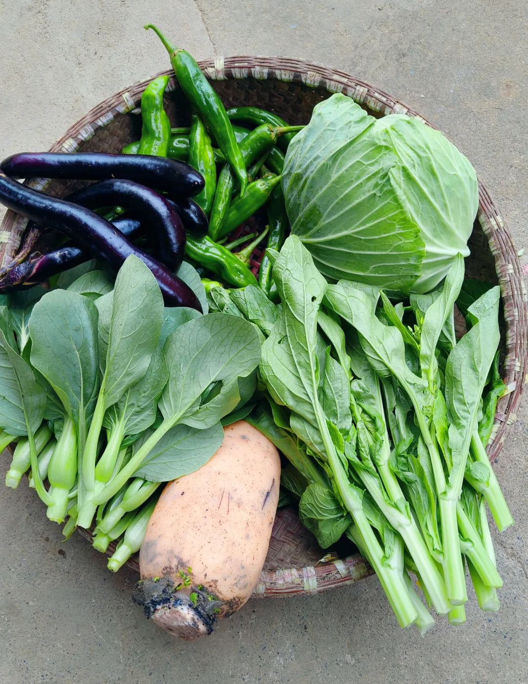 每月150供应一整月的农家应季绿色蔬菜