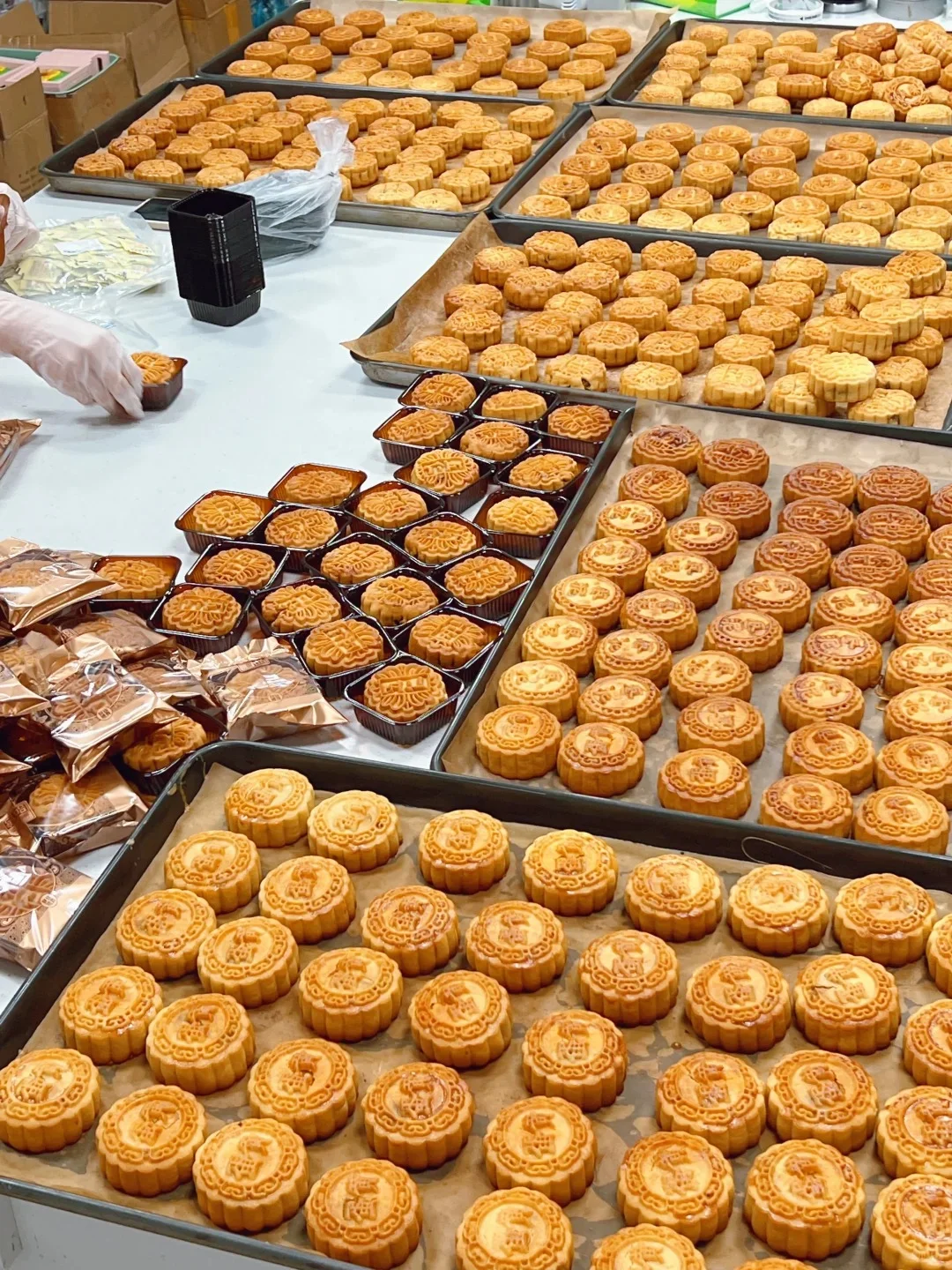 中秋月饼?来了,厂家直供,批发无忧