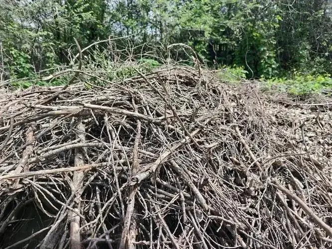 碳中和与绿废处理