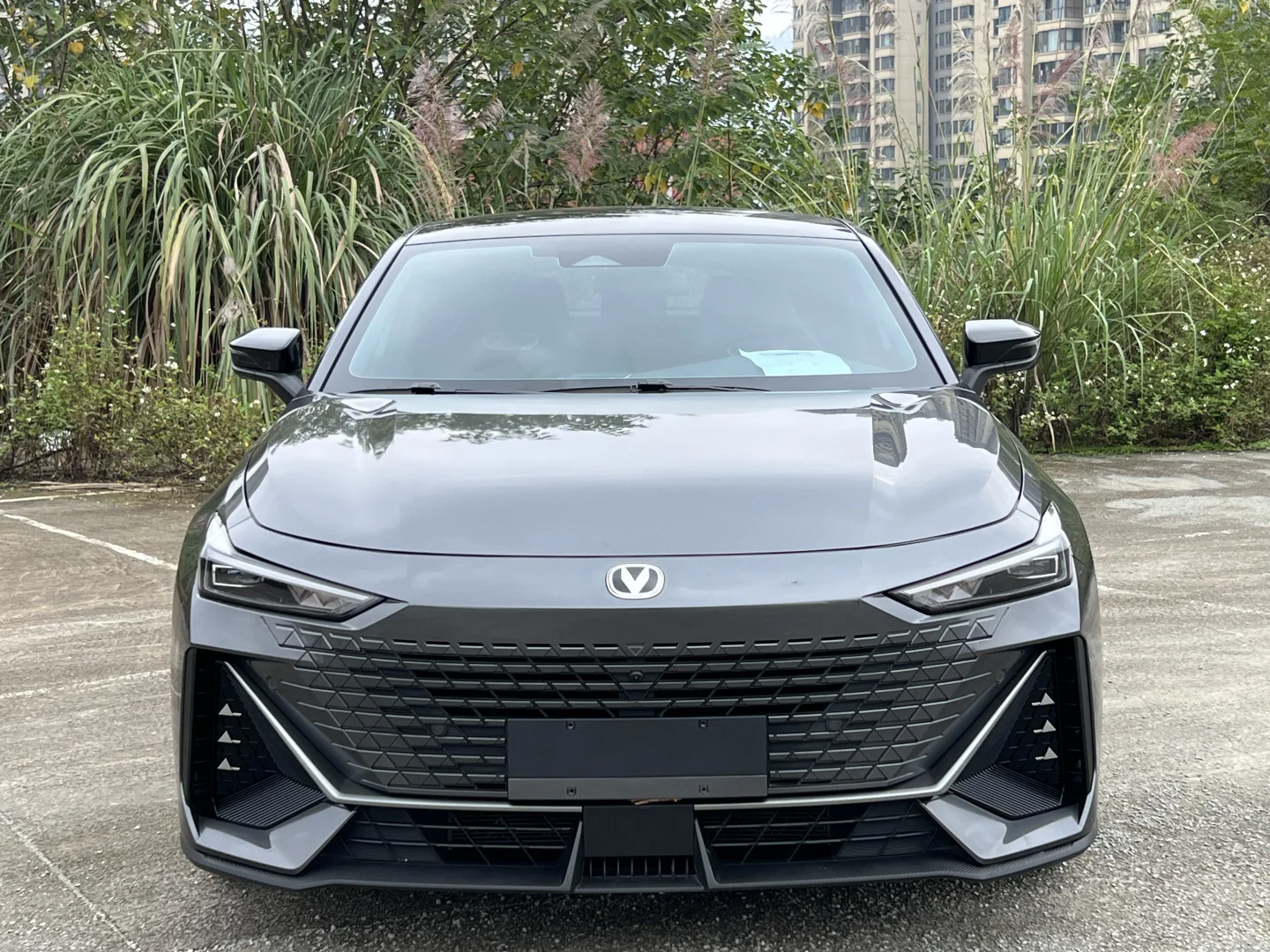 准2024年 尊贵版 懂的来