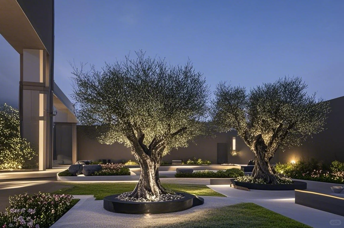 这颗树种院子里被问爆啦‼️