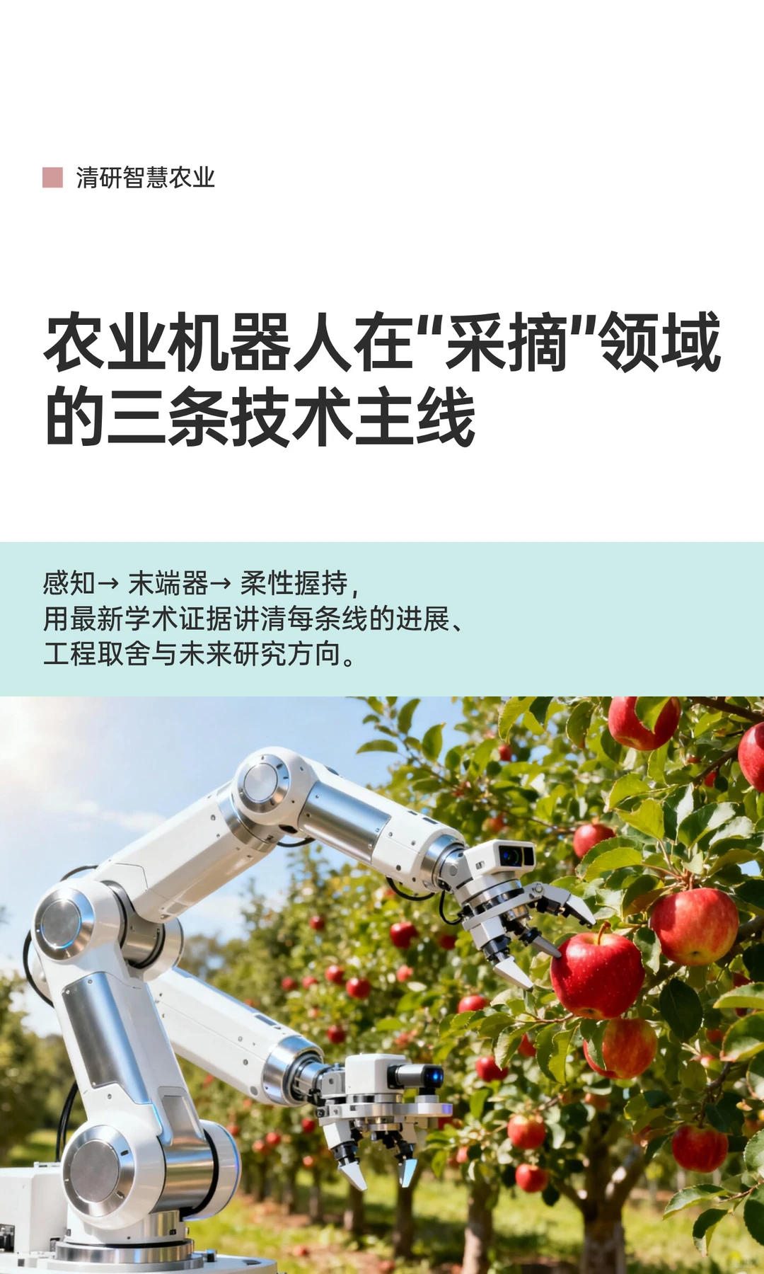 农业机器人在“采摘”领域的三条技术主线