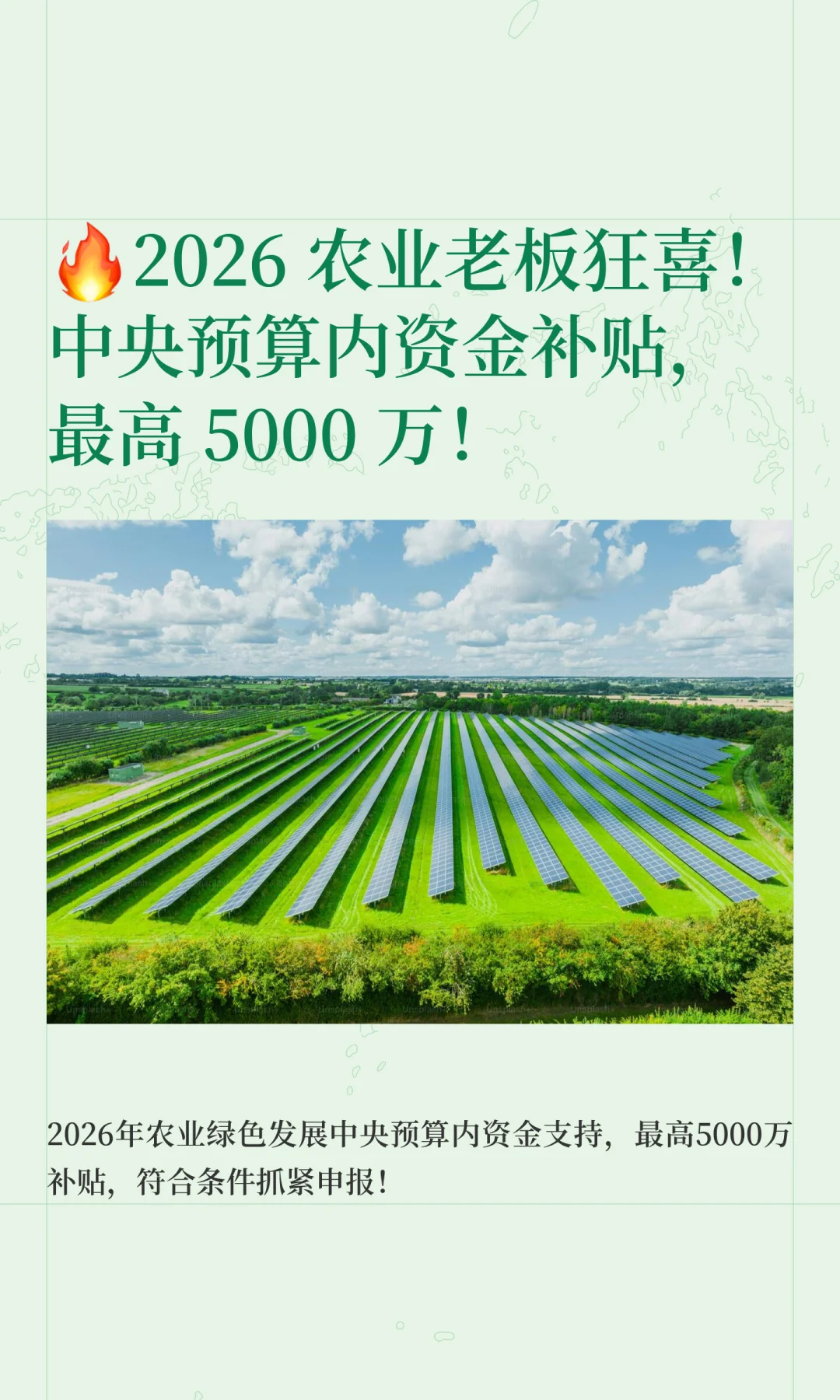 ?2026 农业老板狂喜！