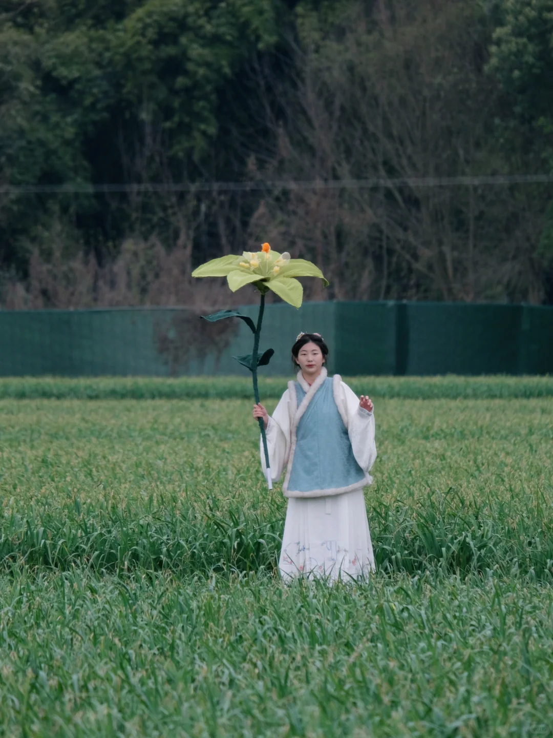 高山大蒜季 ｜ 青年共创，我们在乡村。