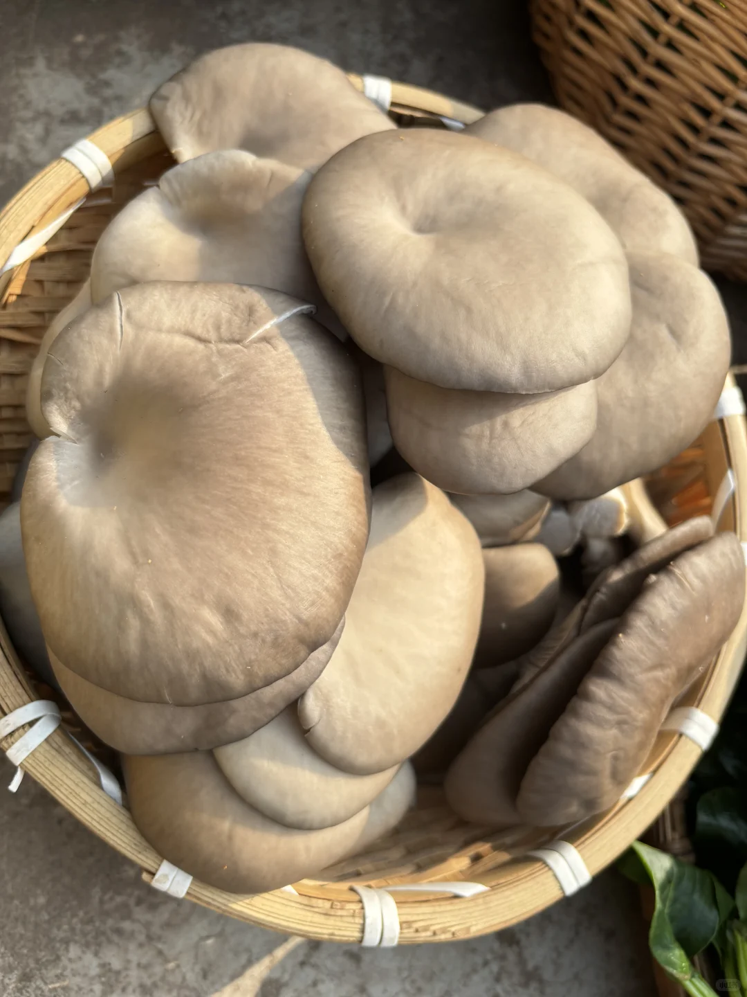 今天给小红书姐妹寄出的露天时令蔬菜拼