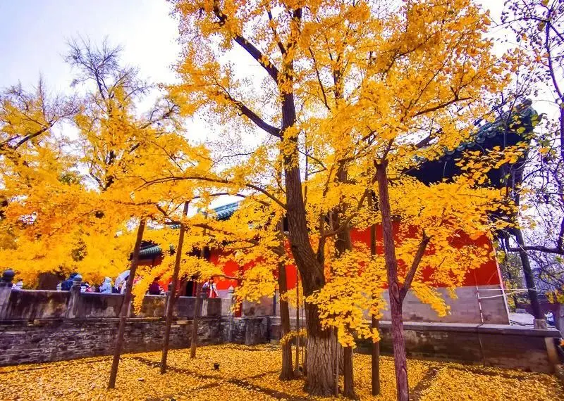 11.8[周六]【京门铁路-广化寺-琉璃渠】户外