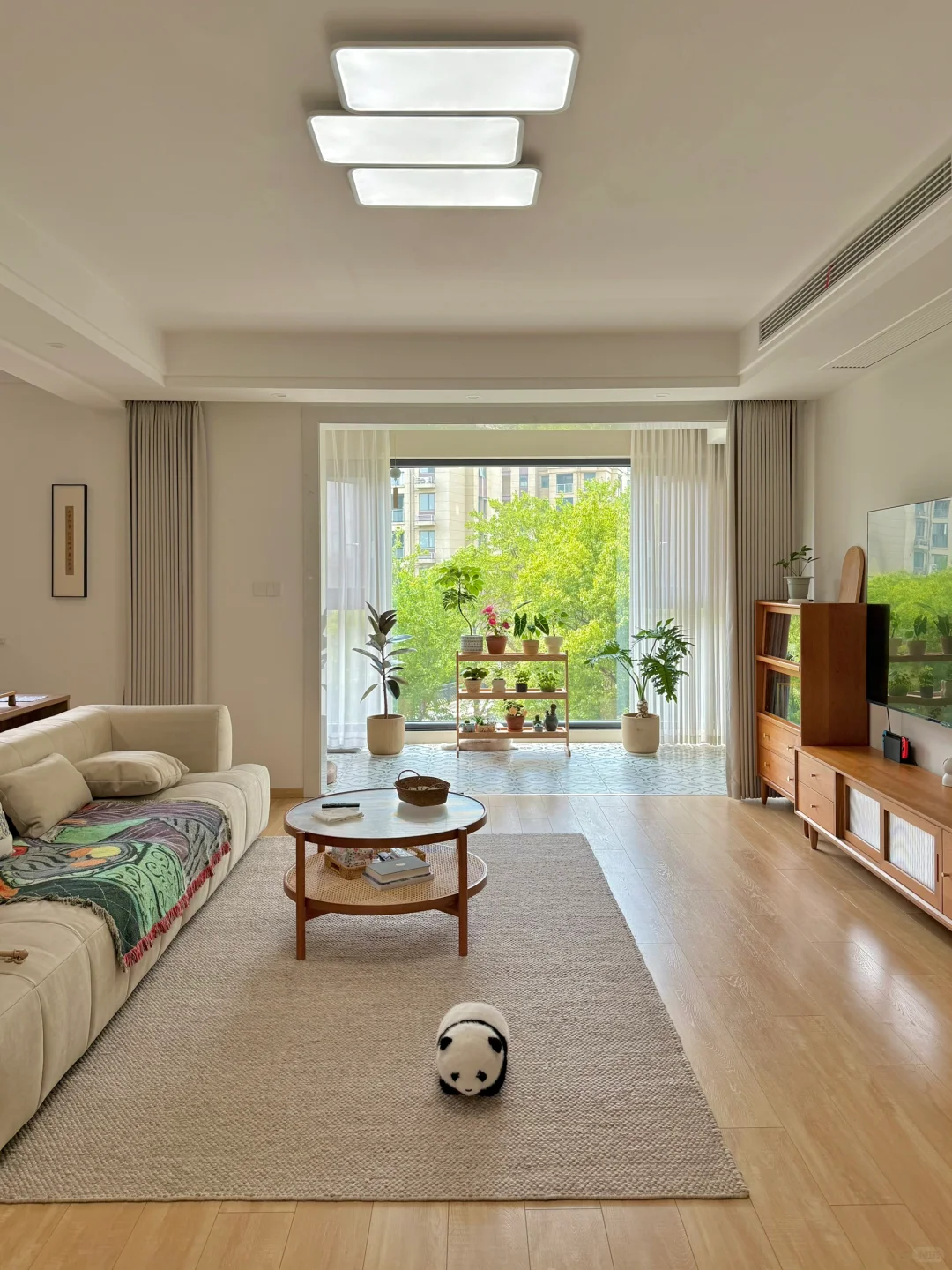 我的小小阳台绿植角初见雏形啦✨