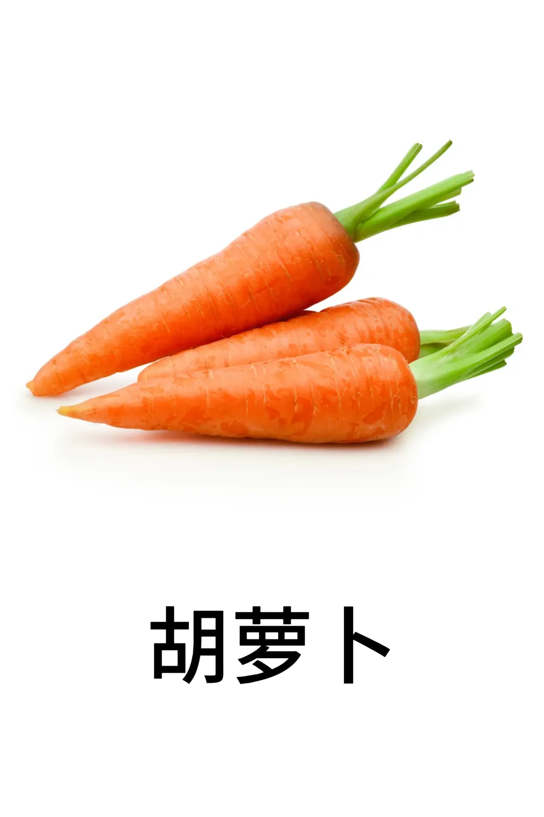 基础认知-蔬菜篇