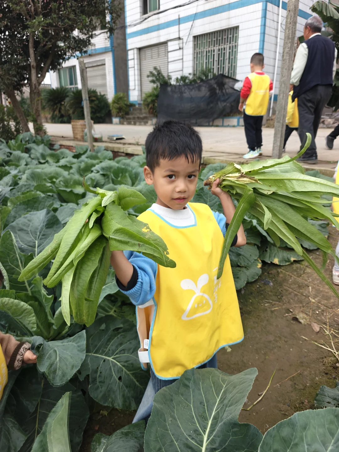 亲子游 | 巴南中坝岛 蔬菜采摘