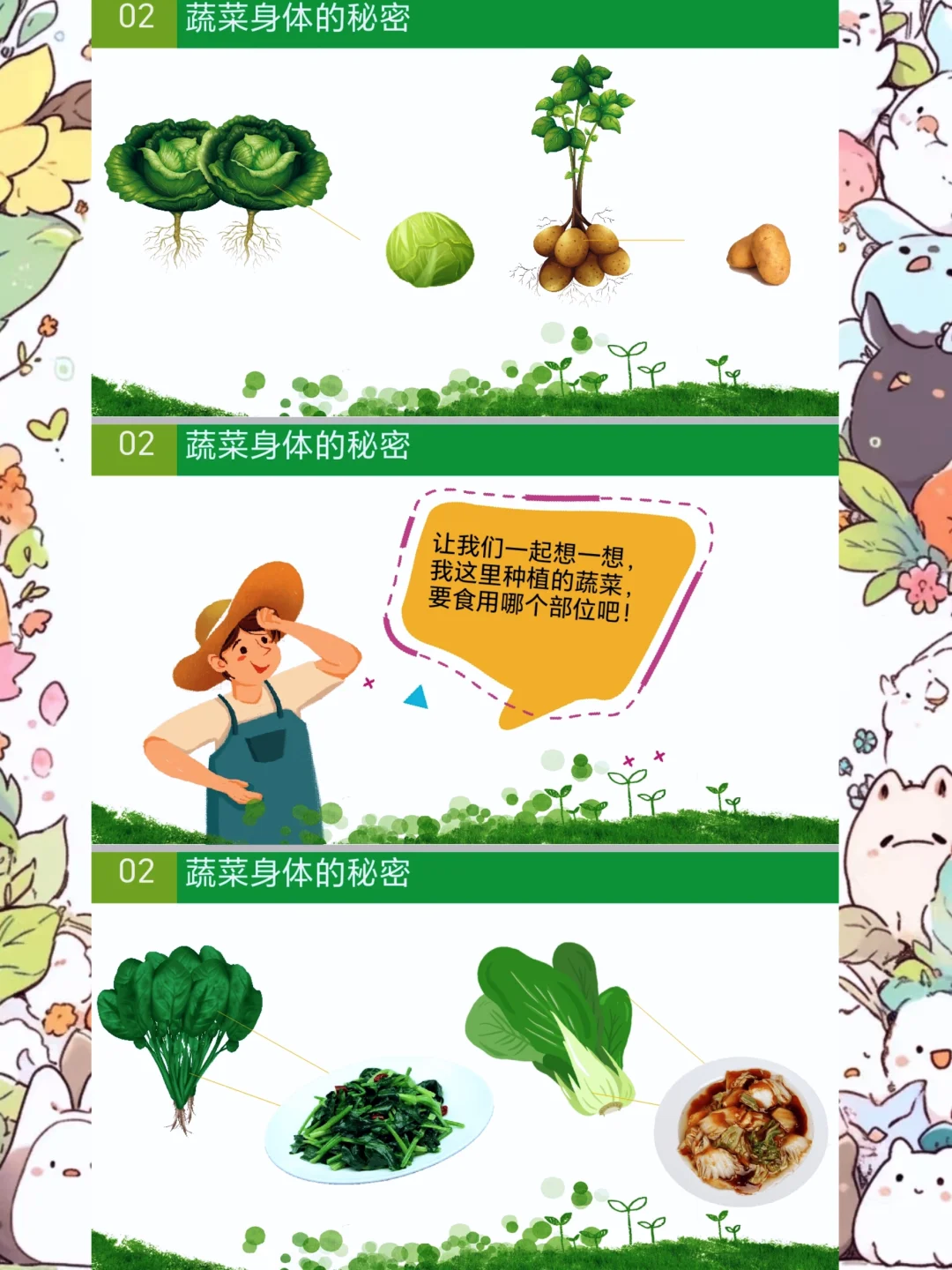 幼师必备，中班科学健康《认识蔬菜》