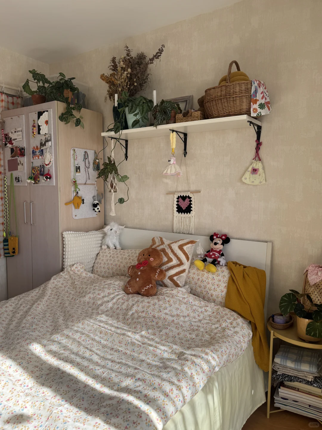 ⸝⸝꙳?i人用绿植爆改出租屋°.