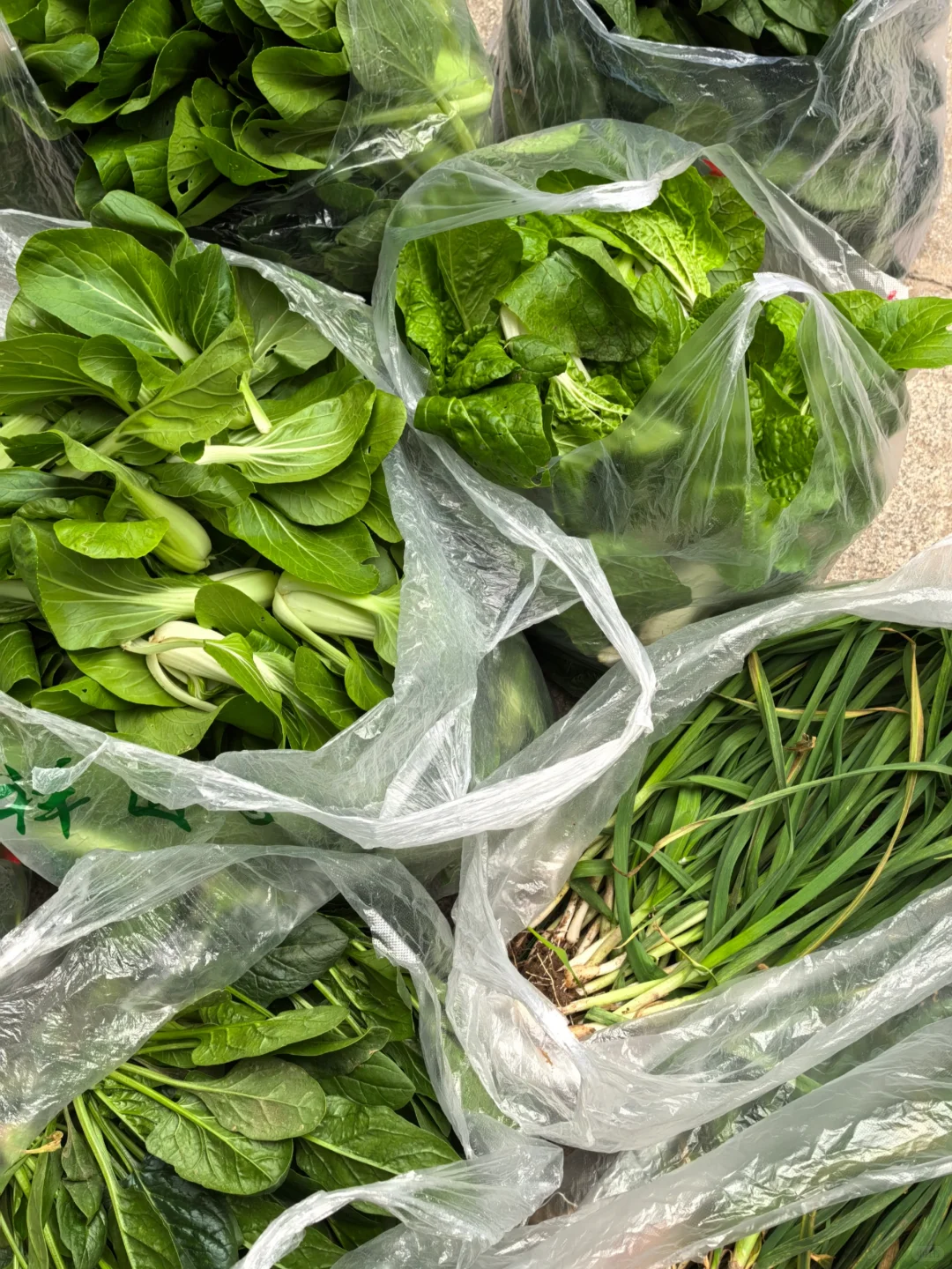 我妈当我来进货呢，?收货新鲜的蔬菜！