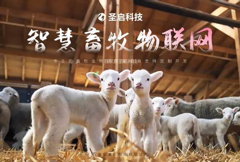 现代化农业的新篇章——智能畜禽养殖