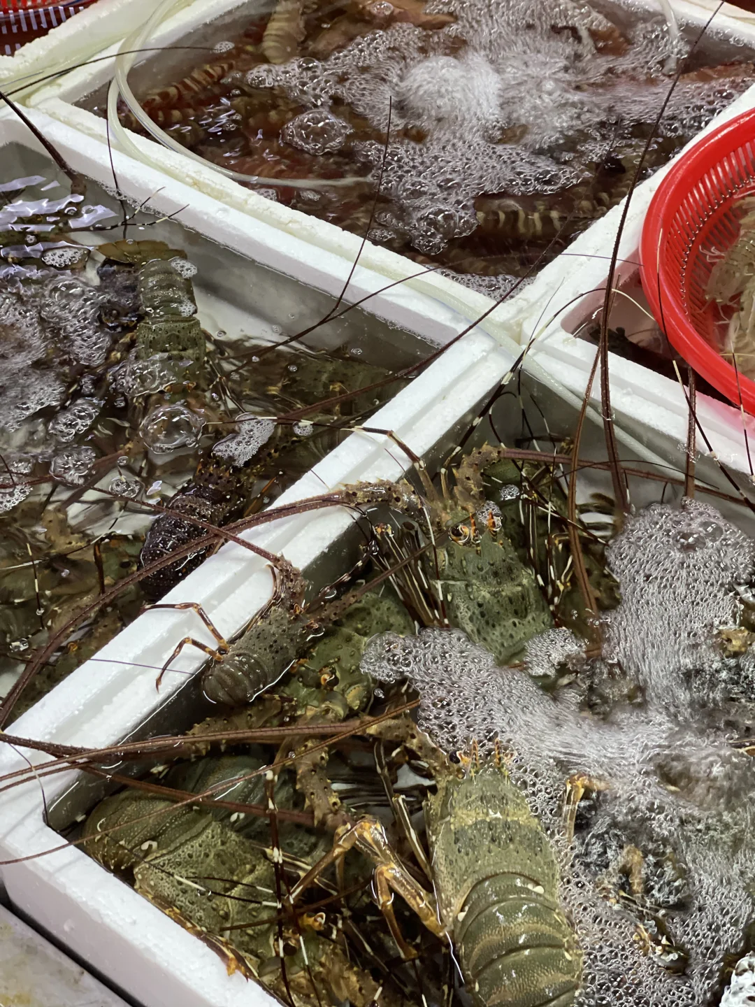 海口海鲜市场现买现加工～每次必打卡