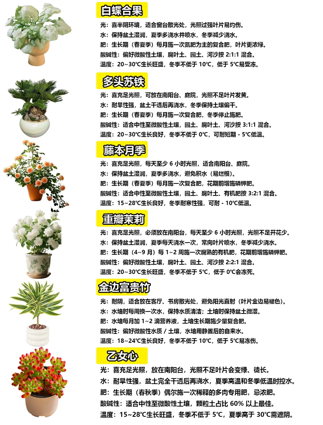 108种绿植花卉养护手册大全