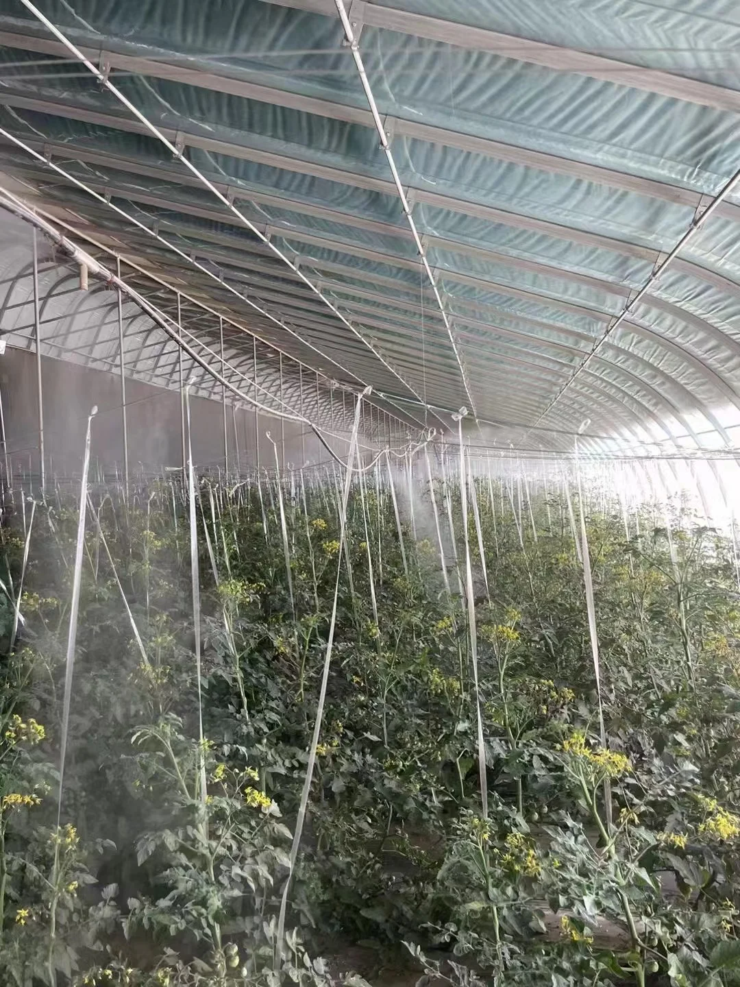 智能农业大棚控制系统