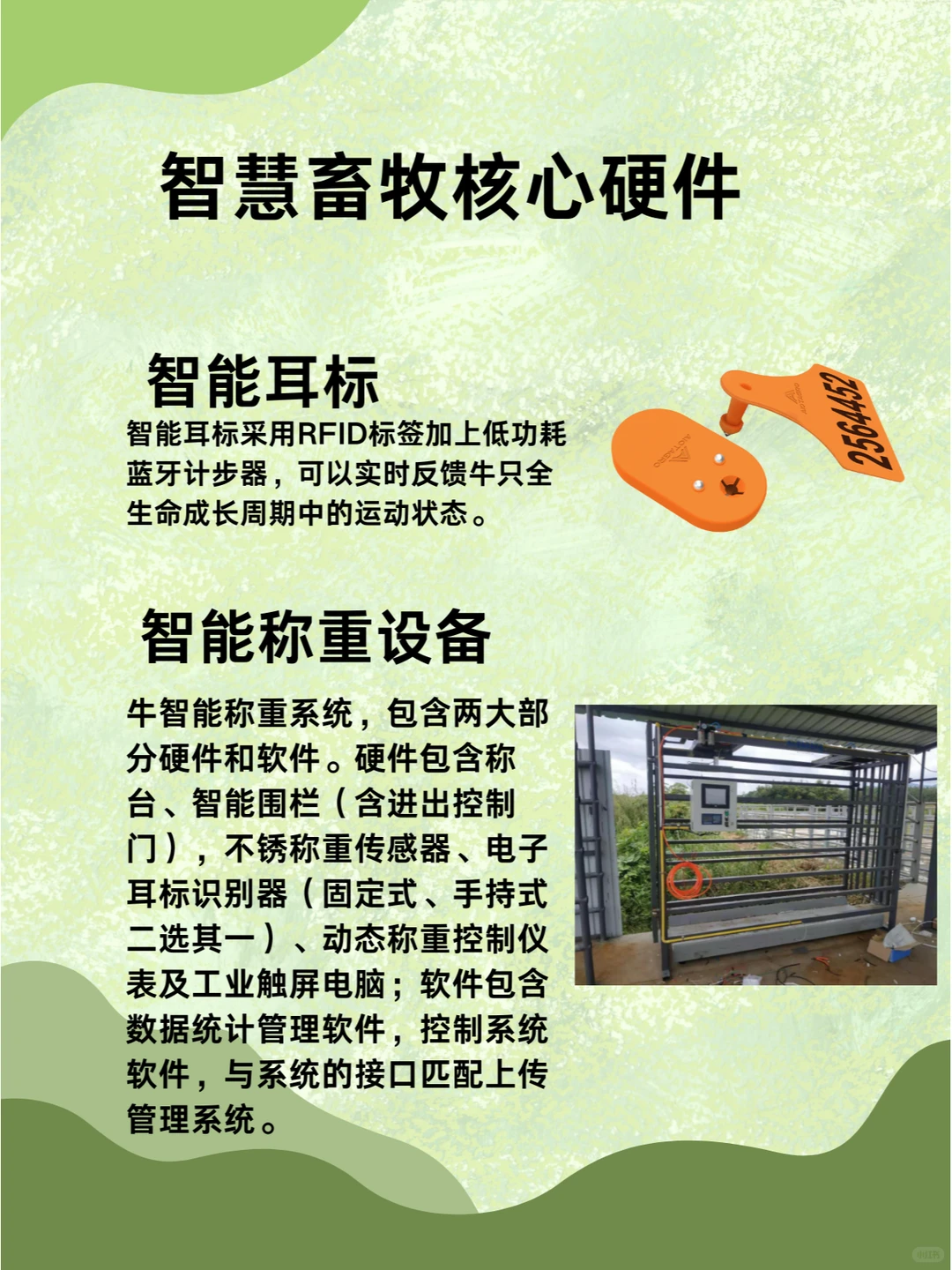 2024年农业风口,智慧养殖