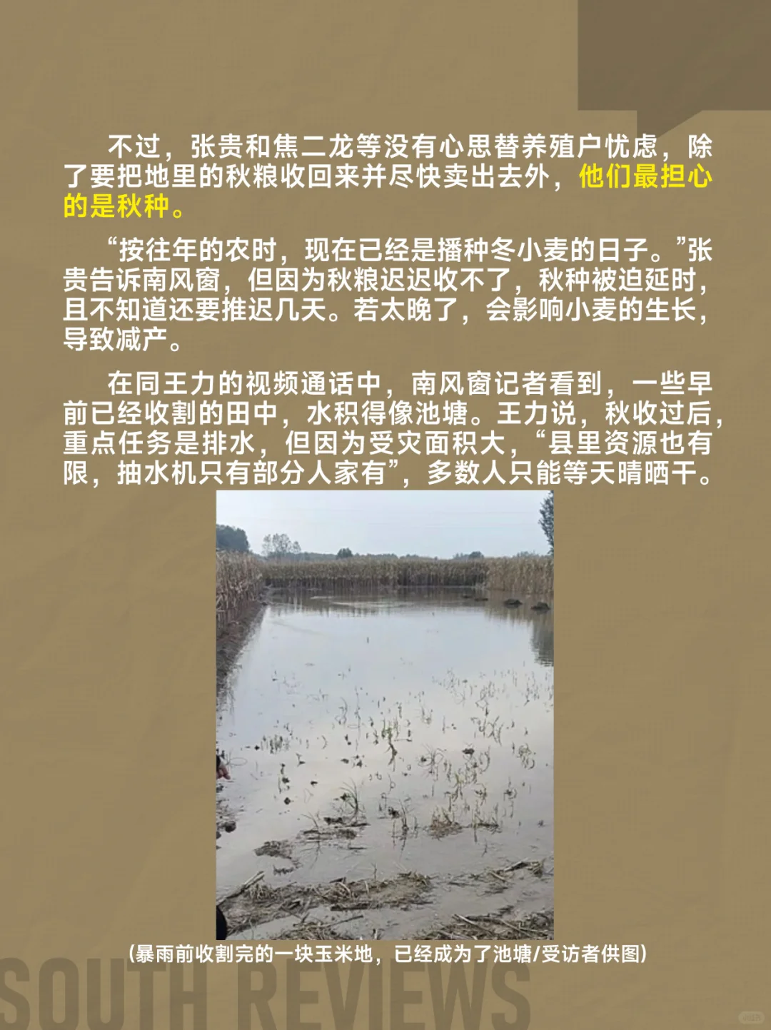 河南农民太苦了,刚经历罕见干旱又遭遇秋涝